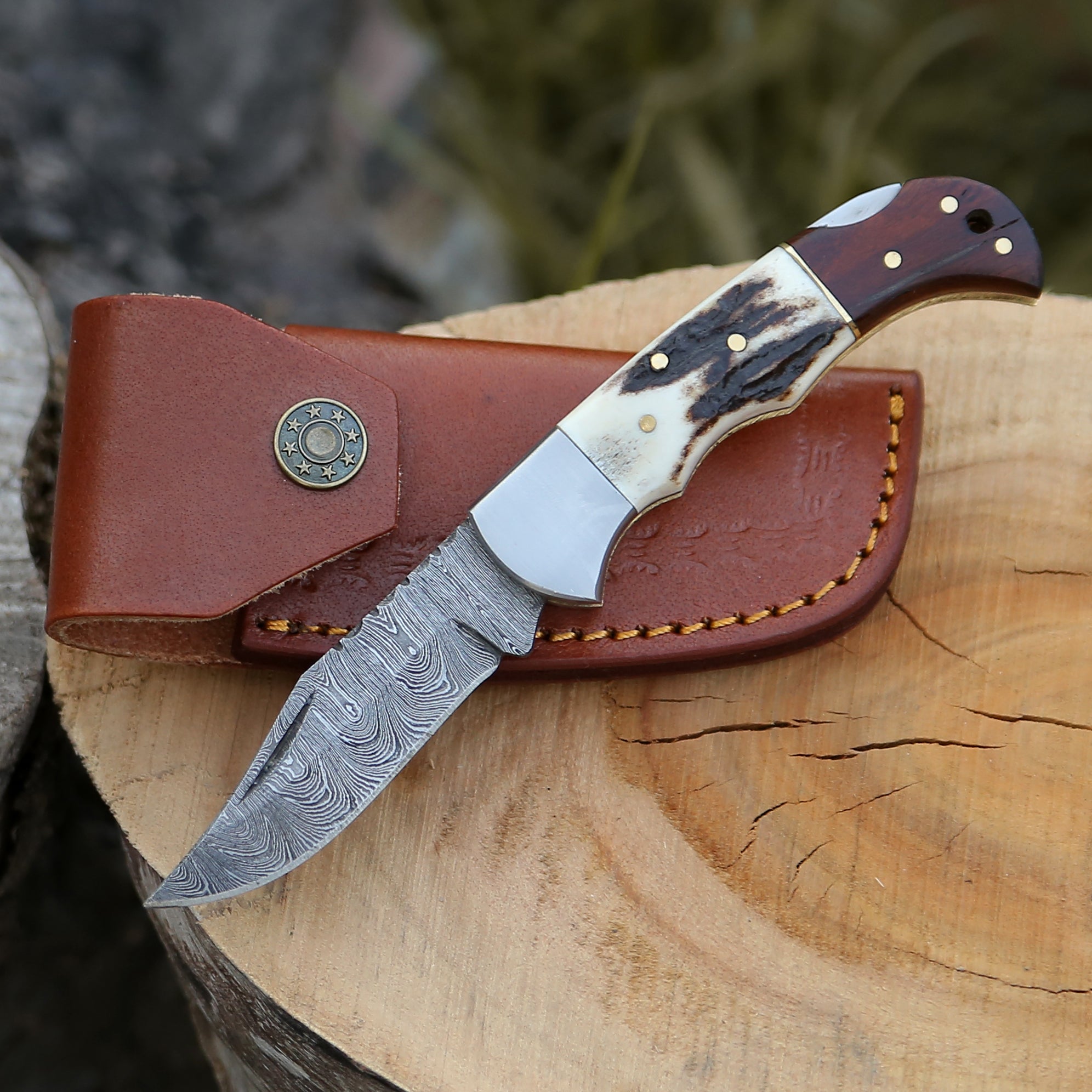 Beautiful Stag and Rosewood Handle  6.8" Handmade Damascus Steel Folding Knife Back Lock Personalized Pocket Knife With Leather Pouch.