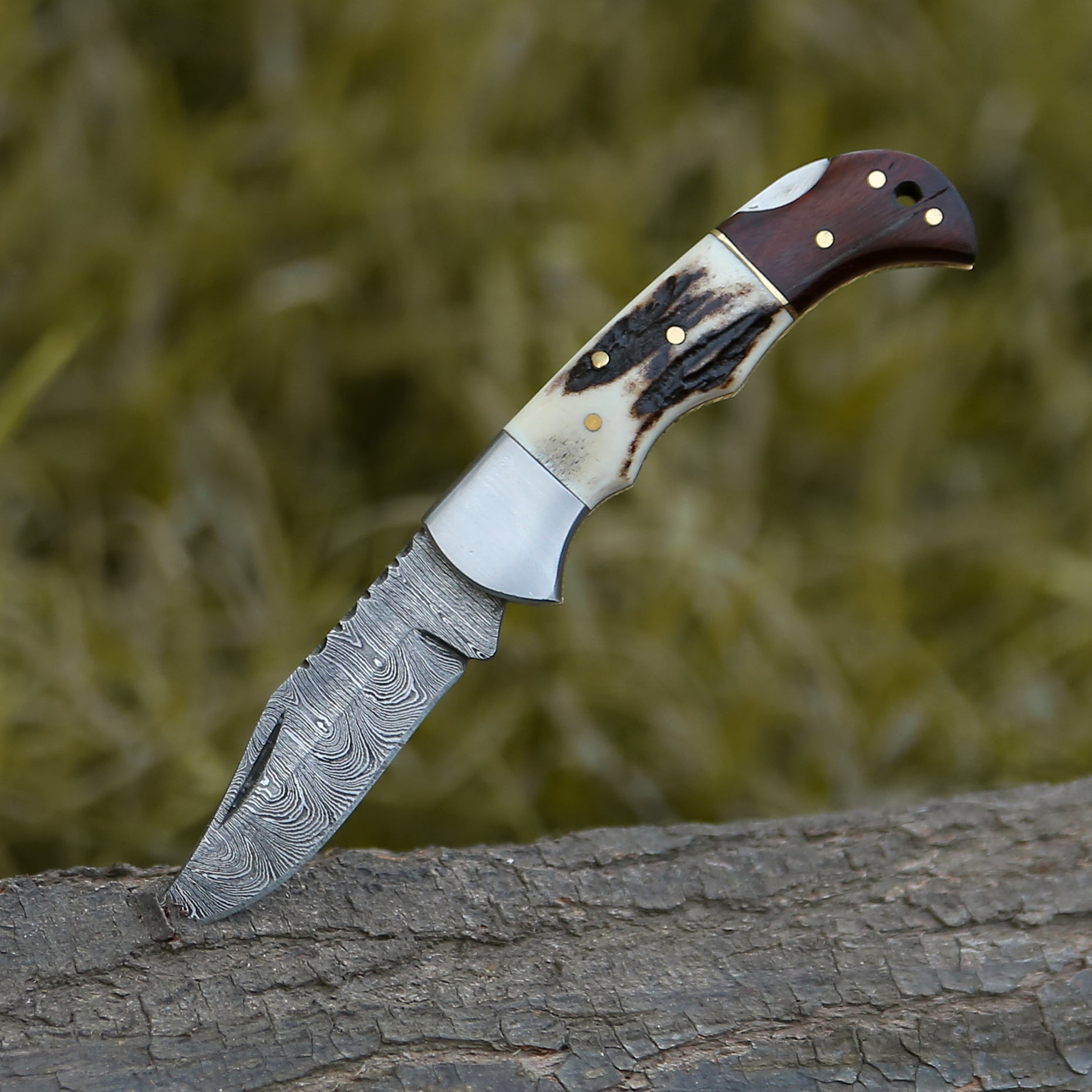 Beautiful Stag and Rosewood Handle 6.8" Handmade Damascus Steel Folding Knife Back Lock Personalized Pocket Knife With Leather Pouch.