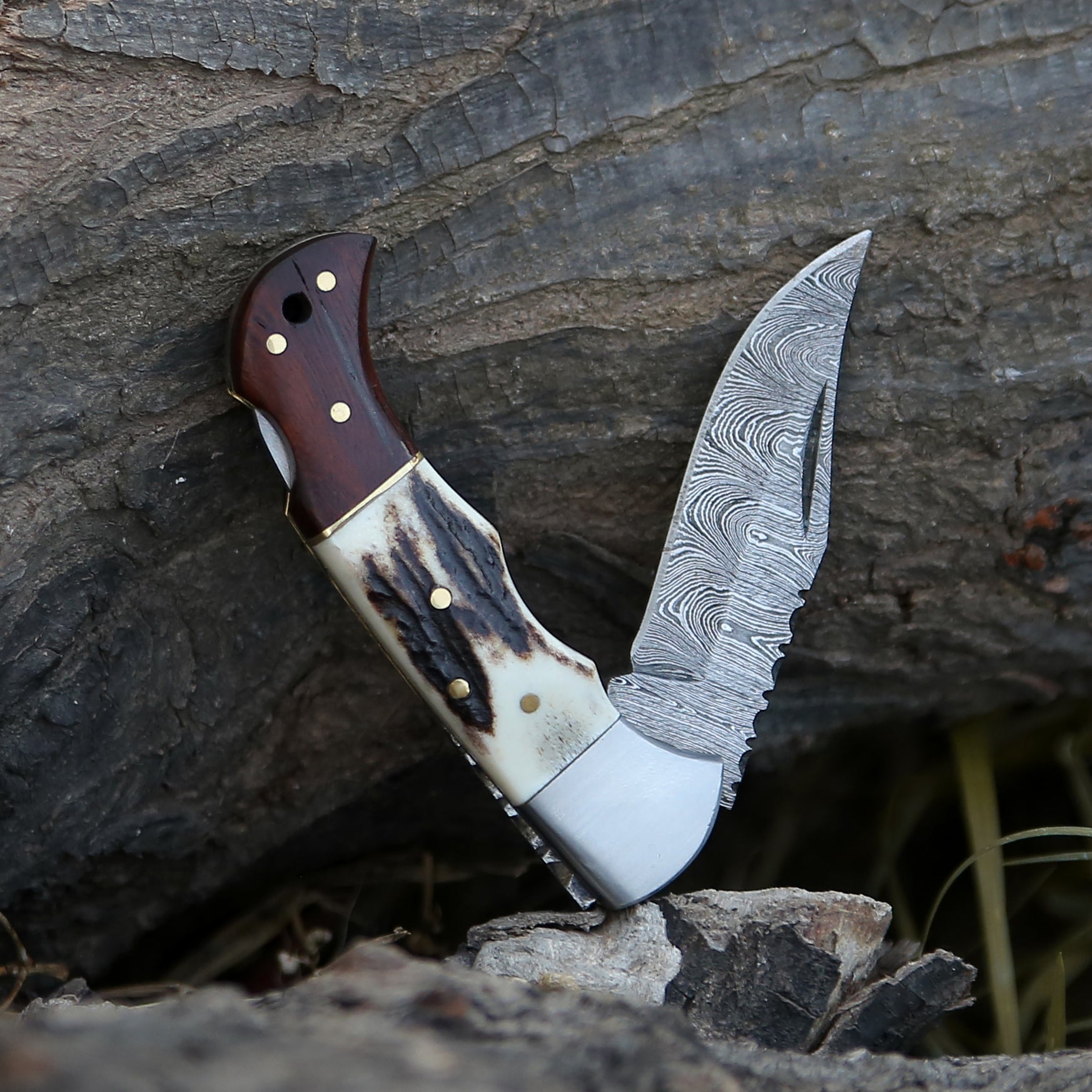 Beautiful Stag and Rosewood Handle 6.8" Handmade Damascus Steel Folding Knife Back Lock Personalized Pocket Knife With Leather Pouch.