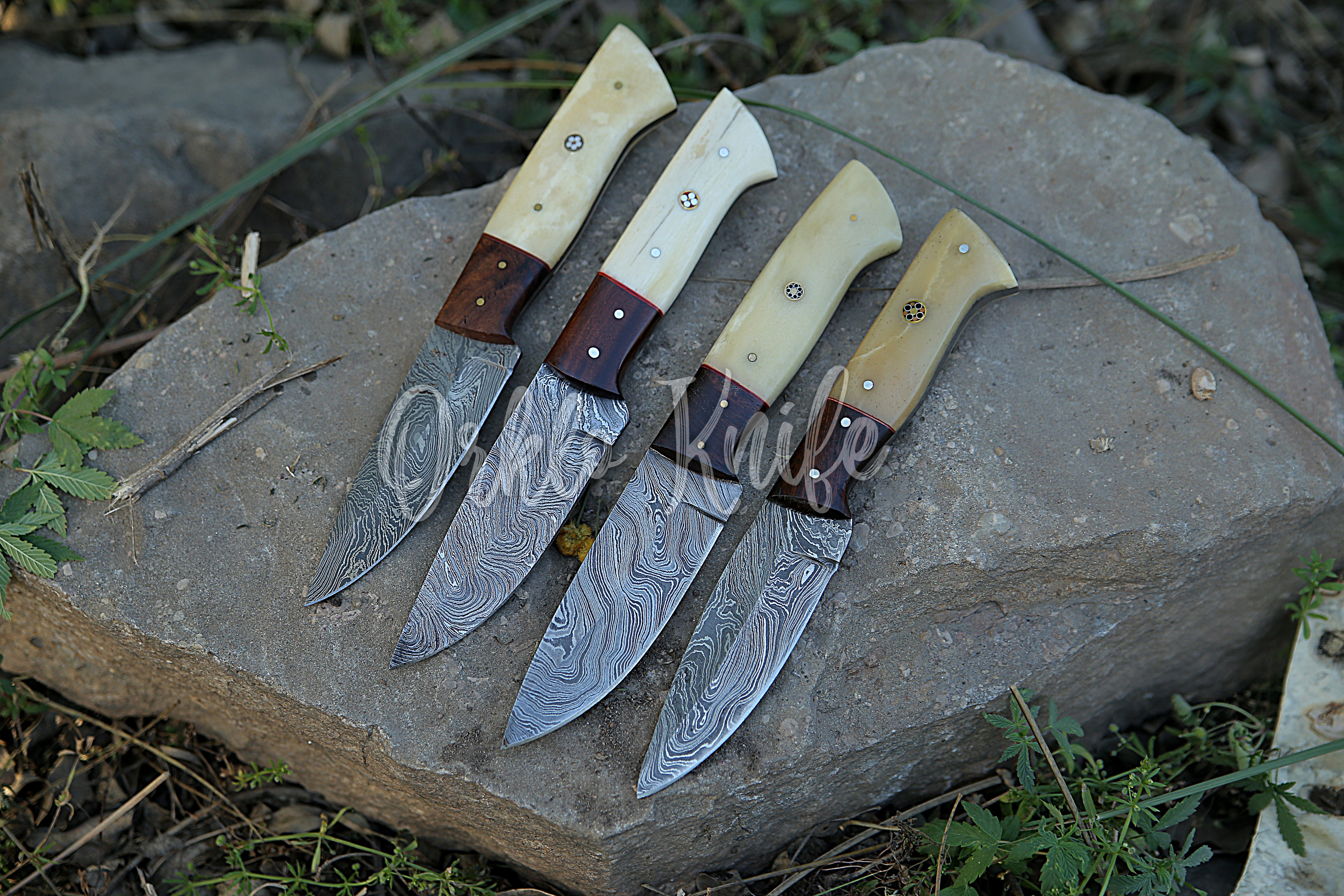 Damascus Steak knife set of 4 PCS - Orkloknife