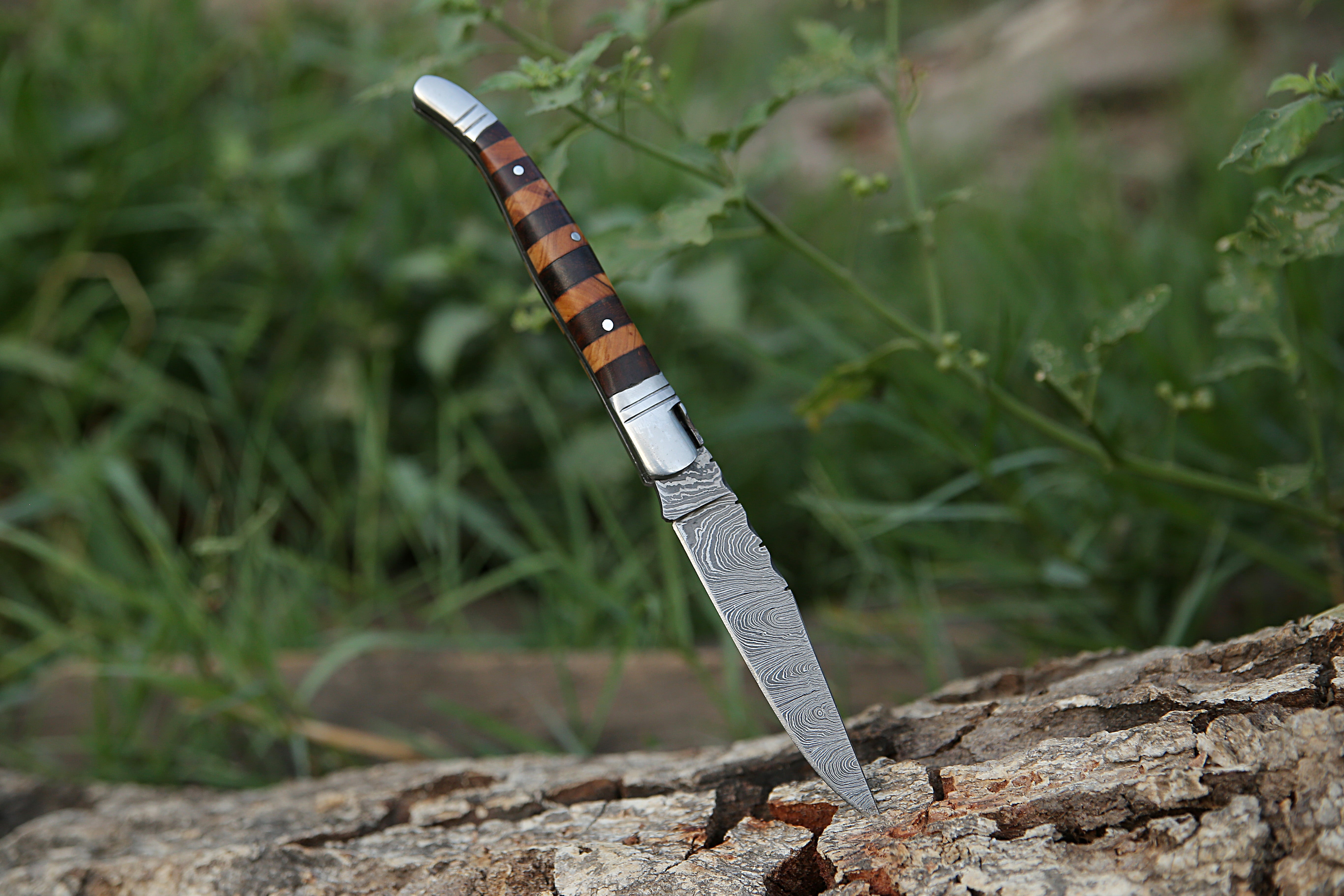 Hand Forge Damascus steel Pocket knife With Rose & Olive Wood Handle Steel Clips Folding Knife