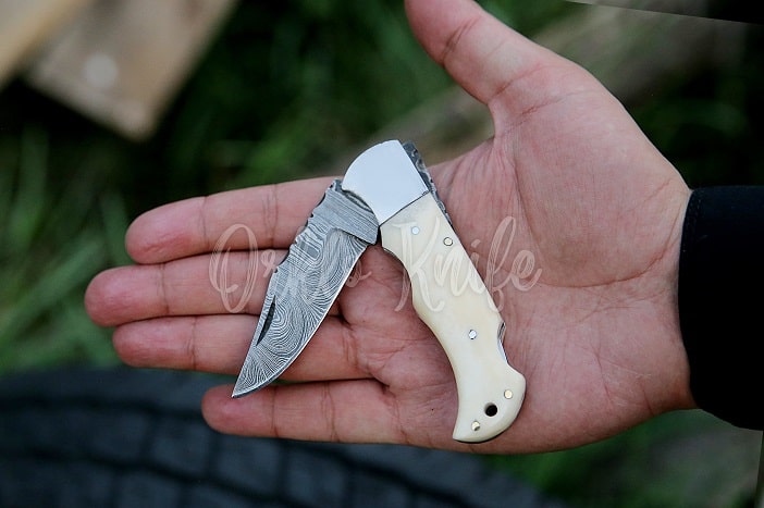 bone handle frost cutlery pocket knife