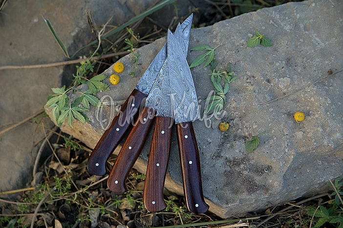 damascus steak knife set