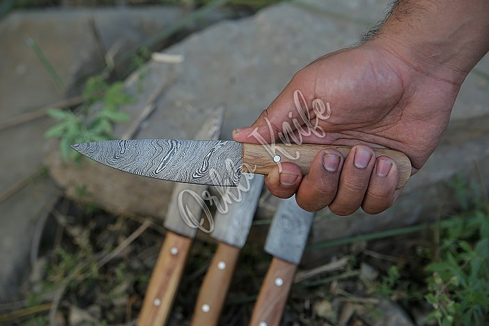 damascus steak knives set