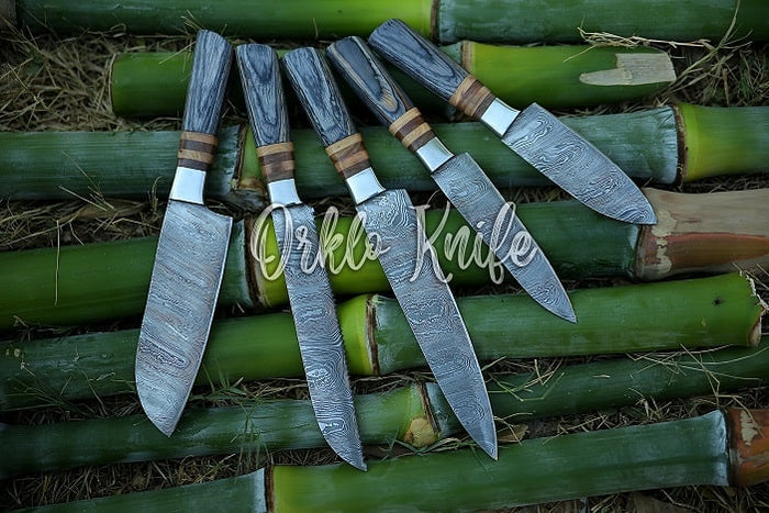 Handmade Damascus Chef Knife Set of 5 Pcs With Grey Dollar Sheet Kitchen  Knives Beautiful Gift for Women Chefs Knives Gift for Wife &outdoor 